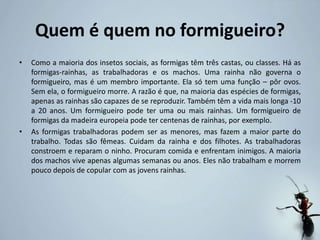 Quem é quem no formigueiro?
• Como a maioria dos insetos sociais, as formigas têm três castas, ou classes. Há as
formigas-rainhas, as trabalhadoras e os machos. Uma rainha não governa o
formigueiro, mas é um membro importante. Ela só tem uma função – pôr ovos.
Sem ela, o formigueiro morre. A razão é que, na maioria das espécies de formigas,
apenas as rainhas são capazes de se reproduzir. Também têm a vida mais longa -10
a 20 anos. Um formigueiro pode ter uma ou mais rainhas. Um formigueiro de
formigas da madeira europeia pode ter centenas de rainhas, por exemplo.
• As formigas trabalhadoras podem ser as menores, mas fazem a maior parte do
trabalho. Todas são fêmeas. Cuidam da rainha e dos filhotes. As trabalhadoras
constroem e reparam o ninho. Procuram comida e enfrentam inimigos. A maioria
dos machos vive apenas algumas semanas ou anos. Eles não trabalham e morrem
pouco depois de copular com as jovens rainhas.
 