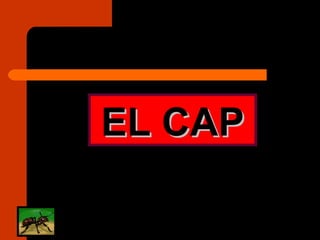 EL CAP 