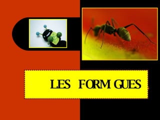 LES FORMIGUES 