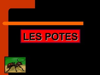 LES POTES 