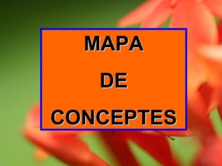 MAPA DE CONCEPTES 