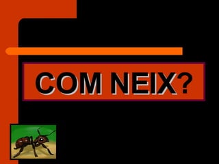 COM NEIX ? 