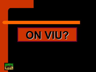 ON VIU? 