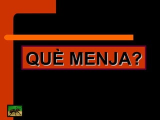 QUÈ MENJA? 