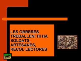 LES OBRERES TREBALLEN: HI HA SOLDATS, ARTESANES, RECOL·LECTORES 