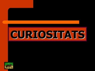 CURIOSITATS 