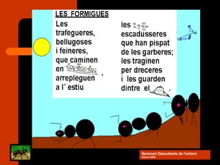 Seminari Descoberta de l’entorn Febrer-2008 