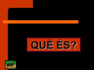 QUÈ ÉS? 