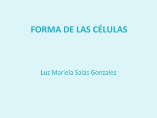 FORMA DE LAS CÉLULAS



  Luz Mariela Salas Gonzales
 