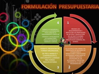 PERMITE ESTANDARIZAR Y           RECOGE LOS
 UNIFICAR LA INFORMACIÓN       REQUERIMIENTOS Y
     FISCAL GRACIAS AL     ARTICULAN LAS PROPUESTAS
 ORDENAMIENTO LÓGICO DE     DE ACCIÓN Y PRODUCCIÓN
 CÓDIGOS Y CATÁLOGOS DE       DE LAS INSTITUCIONES
     LAS ASIGNACIONES         COMPRENDIDAS EN EL
   PRESUPUESTARIAS DE      PRESUPUESTO GENERAL DEL
    INGRESOS Y GASTOS                ESTADO.



PERMITE PRESENTAR EN       ES LA ESTRUCTURA FORMAL DEL
 FORMA ORGANIZADA,         PRESUPUESTO SE RECOGEN LAS
                                   ESTIMACIONES O
  DE FÁCIL MANEJO Y        PROYECCIONES CUANTIFICADAS
   COMPRENSIÓN EL          EN TÉRMINOS MONETARIOS DE
                                 INGRESOS, GASTOS E
DOCUMENTO LLAMADO                INVERSIONES DE LAS
     PRO FORMA               ACTIVIDADES Y PROYECTOS
   PRESUPUESTARIA             DEFINIDOS EN LA FASE DE
                                   PROGRAMACIÓN.
 