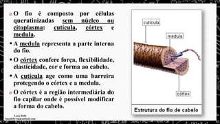 O fio é composto por células
queratinizadas sem núcleo ou
citoplasma: cutícula, córtex e
medula.
▪ A medula representa a parte interna
do fio.
▪ O córtex confere força, flexibilidade,
elasticidade, cor e forma ao cabelo.
▪ A cutícula age como uma barreira
protegendo o córtex e a medula.
O córtex é a região intermediária do
fio capilar onde é possível modificar
a forma do cabelo.
 
