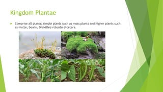 Secondary biology; Introduction to Biology | PPTX