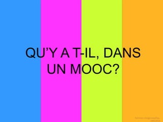 QU’Y A T-IL, DANS
UN MOOC?
formooc-rmngp-cvaufrey-
14052014
 