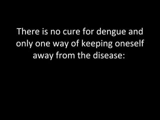 There is no cure for dengue and only one way of keeping oneself away from the disease:  