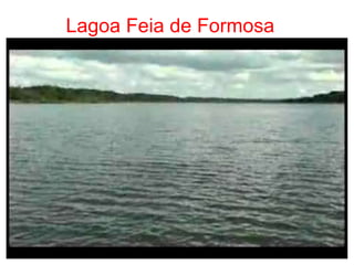 Lagoa Feia de Formosa 