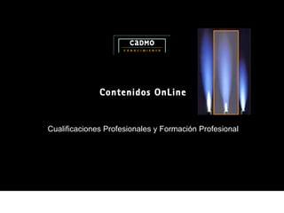 Contenidos OnLine Cualificaciones Profesionales y Formación Profesional 