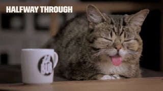 Newtypes in HTML5
<inputtype='url' />
A ﬁeld for editing a URL.
The input value is validated
to contain either the empty
string or a valid absolute
URL before submitting. Line-
breaks and leading or
trailing whitespace are
automatically removed from
the input value.
 