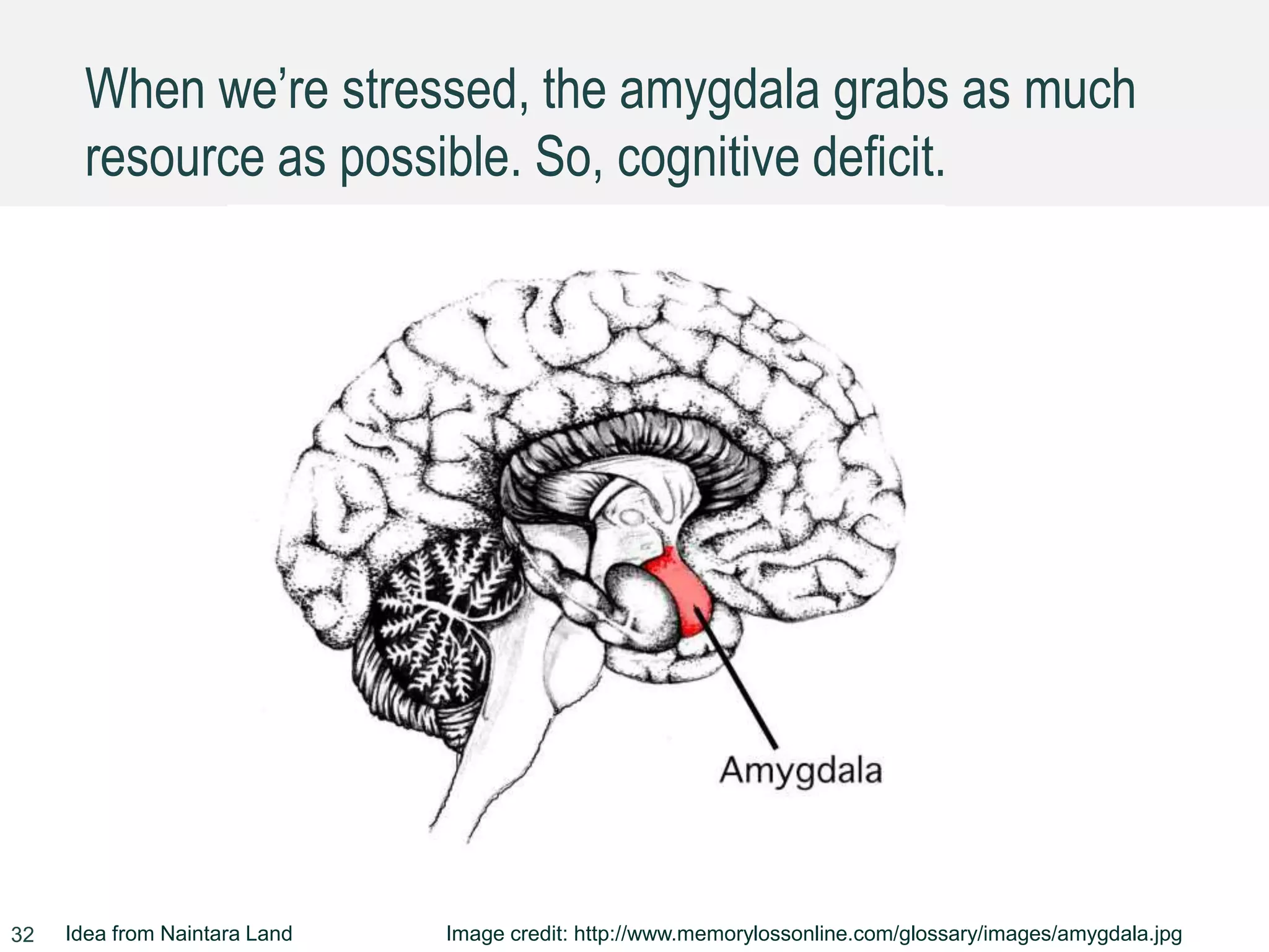 When we’re stressed, the amygdala grabs as much
resource as possible. So, cognitive deficit.
32 Idea from Naintara Land Image credit: http://www.memorylossonline.com/glossary/images/amygdala.jpg
 