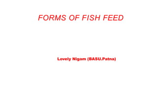 FORMS OF FISH FEED
Lovely Nigam (BASU.Patna)
 