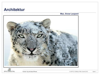 Über 600 KundenTätigkeits-felderIT-Strategie