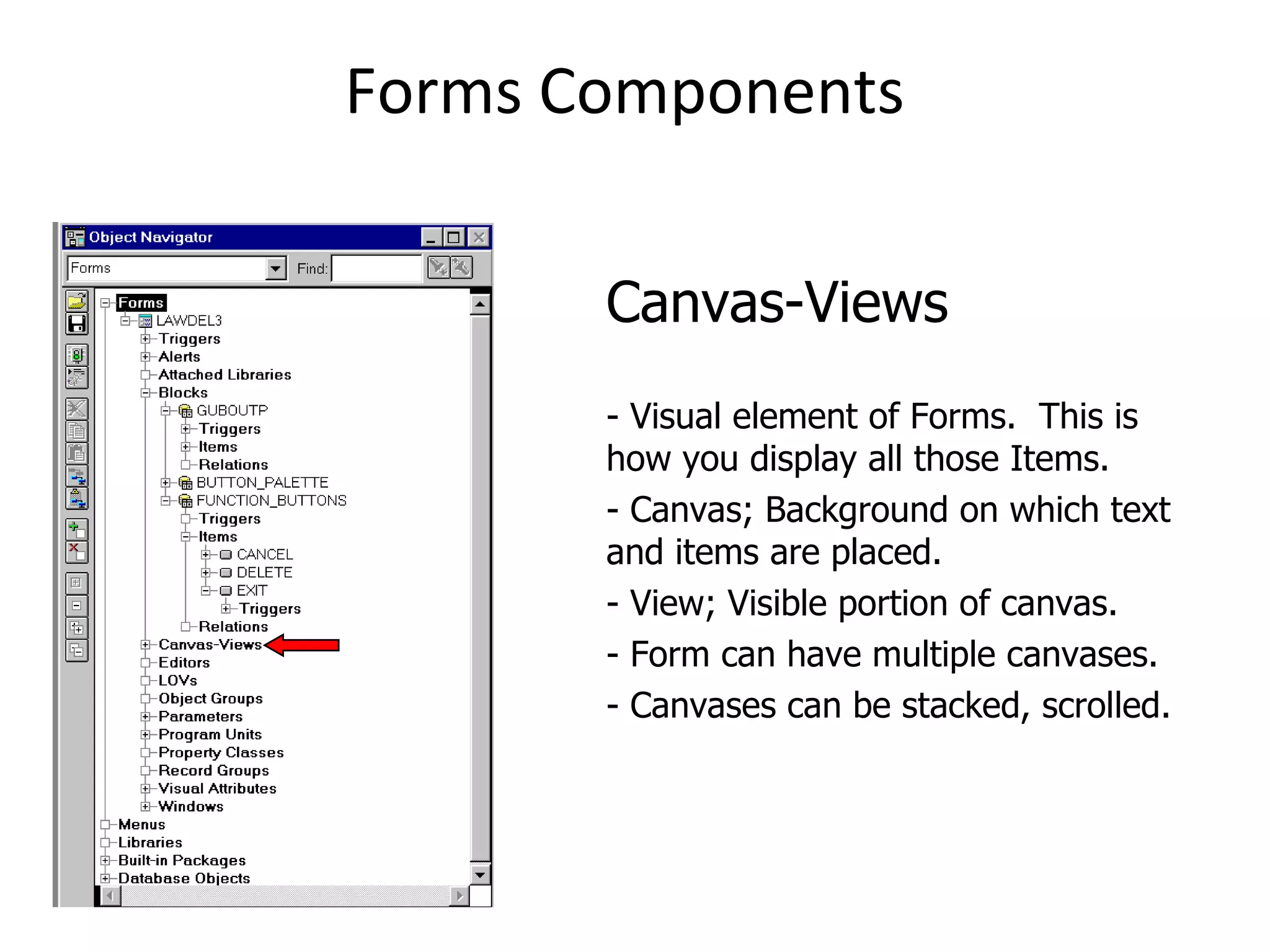 Forms Components Canvas-Views - Visual element of Forms.  This is how you display all those Items. - Canvas; Background on which text and items are placed. - View; Visible portion of canvas. - Form can have multiple canvases. - Canvases can be stacked, scrolled. 