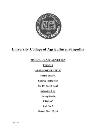 1 | P a g e
University College of Agriculture, Sargodha
MOLECULAR GENETICS
PBG-510
ASSIGNMENT TITLE
Forms of DNA
Course Instructor
Sir Dr. Saeed Rauf
Submitted by
Ishtiaq Shariq
P.B.G. 6th
Roll No. 2
Dated: Mar. 22, 14
 