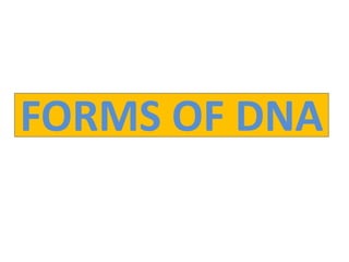 FORMS OF DNA
 
