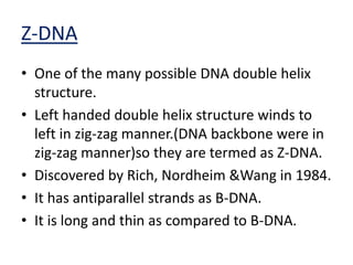 FORMS OF DNA