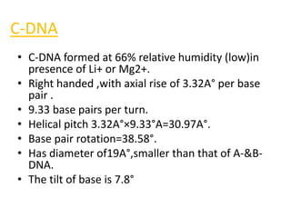 A-DNA
B-DNA
Z-DNA
 