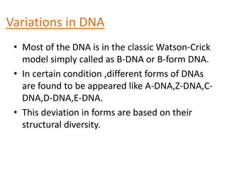 D-DNA: Rare variant with 8 base pairs per helical
turn ,form in structure devoid of guanine .
E- DNA: Extended or eccent...