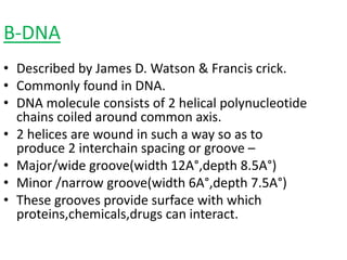 FORMS OF DNA