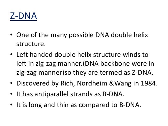 forms of dna b form dna