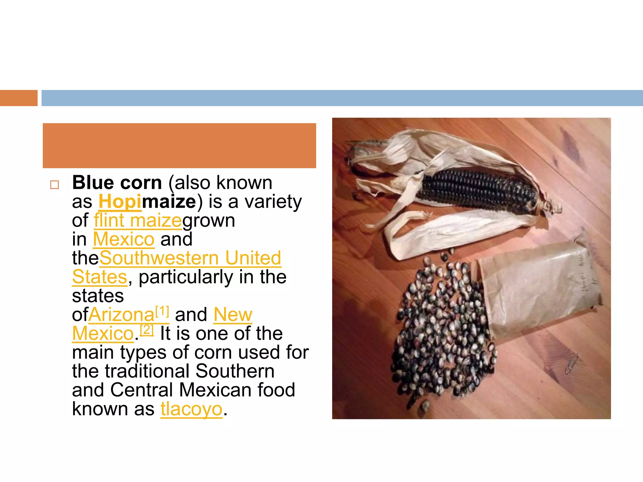 Forms of maize A Presentation By Mr Allah Dad Khan Visiting Professor ...