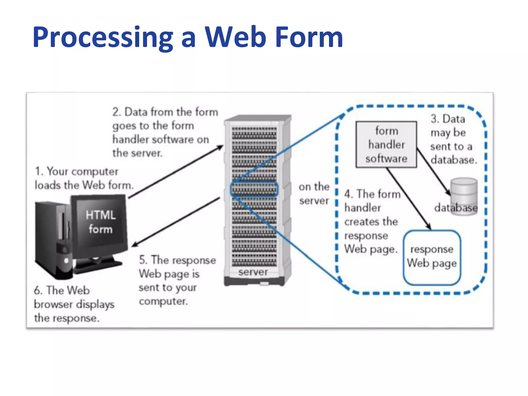 Processing a Web Form
 