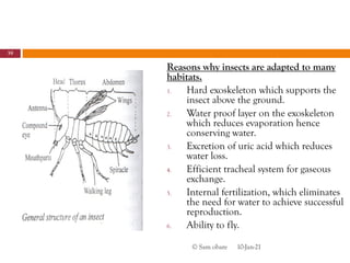 Form Three Biology Presentation_055652.pdf