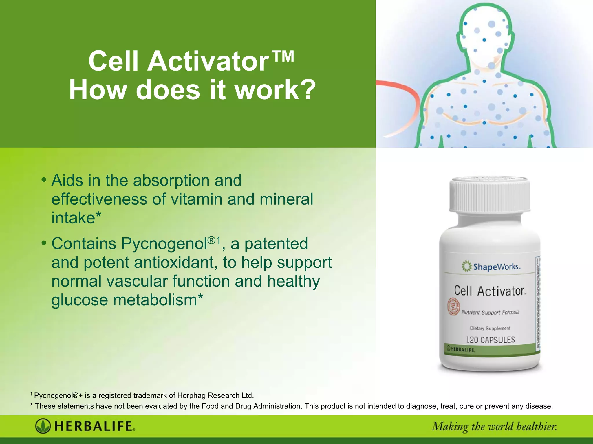 Cell Activator™
How does it work?
• Aids in the absorption and
effectiveness of vitamin and mineral
intake*
• Contains Pycnogenol®1, a patented
and potent antioxidant, to help support
normal vascular function and healthy
glucose metabolism*
1
Pycnogenol®+ is a registered trademark of Horphag Research Ltd.
* These statements have not been evaluated by the Food and Drug Administration. This product is not intended to diagnose, treat, cure or prevent any disease.
 