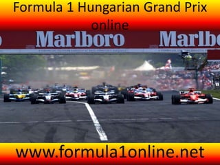 Formula 1 Hungarian Grand Prix
online
www.formula1online.net
 