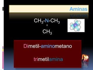 Aminas

    CH3-N-CH3




        -
       CH3

Dimetil-aminometano

    trimetilamina
 