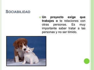 SOCIABILIDAD
                  Un proyecto exige que
                   trabajes o te relaciones con
                   otras personas. Es muy
                   importante saber tratar a las
                   personas y no ser tímido.
 