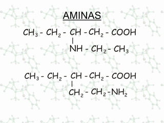 AMINAS
CH -CH -2
CH2CH -3
CH3- CH -2
- COOH
NH
CH -CH -2
CH2CH -3
- CH -2CH2
- COOH
2NH
 