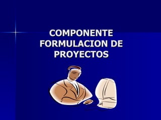 COMPONENTE FORMULACION DE PROYECTOS 