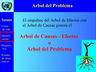 • Ciclo
de vida
•Identifi-
cación
•Diagnós-
tico
•Estudio
de alter-
nativas
Temario
Arbol del Problema
El empalme del Arbol de Efectos con
el Arbol de Causas genera el
Arbol de Causas - Efectos
o
Arbol del Problema
 