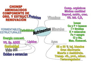 Nutrimentos Proteínas Carbohidratos Lípidos Vitaminas Minerales Agua FERMENTABLES ESTRUCTURALES CHONSP AMINOACIDOS COMPONENTE DE ORG. Y ESTRUCT. RENOVACIÓN Energía concent. Vit. lip. ADEK Gustosidad Vida útil Oxidan o enrancian Comp. orgánicos Mínima cantidad Reprod, nutric, crec. Vit. hid. C,B, Iones: Ca y P = huesos I = tiroides K = músculos Fe = sangre Cl y Na. Man. Homeost. 65 a 80 % tej. blandos Gran disolvente Muerte x deshidrata. Transp. vit., prot., miner. Termoregulador 