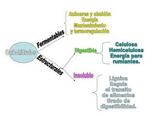 Carbohidratos Fermentables Estructurales Azúcares y almidón Energía Mantenimiento y termoregulación Digestible Insoluble Celulosa Hemicelulosa Energía para rumiantes. Lignina Regula el transito de alimentos Grado de digestibilidad. 