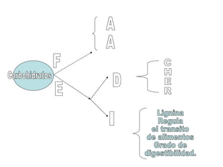 Carbohidratos Lignina Regula el transito de alimentos Grado de digestibilidad. F E D I C H E R A A 