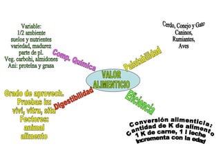 VALOR ALIMENTICIO Comp. Química Digestibilidad Palatabilidad Eficiencia Variable: 1/2 ambiente suelos y nutrientes variedad, madurez parte de pl. Veg. carbohi, almidones Ani: proteína y grasa Grado de aprovech. Pruebas in: vivi, vitru, situ Fectores: animal alimento Cerdo, Conejo y Gato Caninos, Rumiantes, Aves Conversión alimenticia: Cantidad de K de alimento 1 K de carne, 1 l leche Incrementa con la edad 
