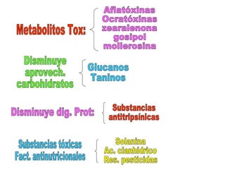Metabolitos Tox: Disminuye aprovech. carbohidratos Disminuye dig. Prot: Substancias tóxicas Fact. antinutricionales Aflatóxinas Ocratóxinas zearalenona gosipol mollerosina Glucanos Taninos Substancias antitripsínicas Solanina Ac. cianhídrico Res. pesticidas 