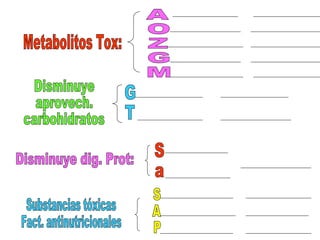 Metabolitos Tox: Disminuye aprovech. carbohidratos Disminuye dig. Prot: Substancias tóxicas Fact. antinutricionales A O Z G M G T S a S A P 