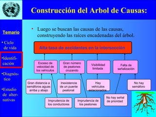 Construcción del Arbol de Causas: Luego se buscan las causas de las causas, construyendo las raíces encadenadas del árbol. Alta tasa de accidentes en la intersección Gran número de peatones cruzando Visibilidad limitada  Falta de señalización Exceso de velocidad de los vehículos  Imprudencia de los conductores Inexistencia de un puente peatonal  Imprudencia de los peatones Gran distancia a semáforos aguas arriba y abajo Hay vehículos estacionados  No hay señal de prioridad  No hay semáforo  