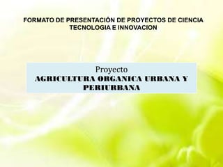 Formulacion de proyectos comunitarios | PDF